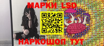 дмт Шахты