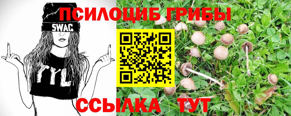 Галлюциногенные грибы мицелий Гагарин