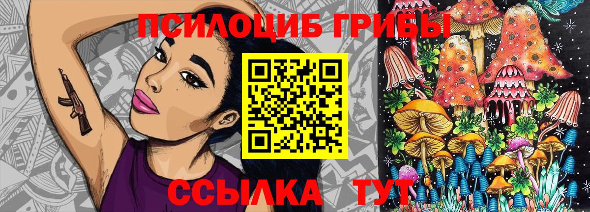 Псилоцибиновые грибы MAGIC MUSHROOMS  Вход с VPN  Гагарин 