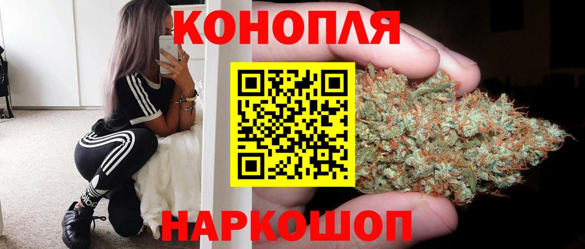 Конопля гибрид Гагарин